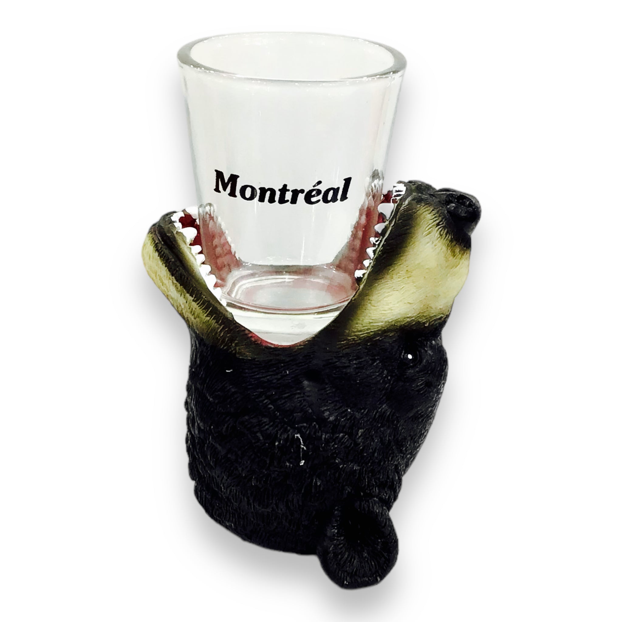 Puzzled Animal-Theme Poly Black Bear Cool Animal Head Shot Glass w/ Montreal Name Drop