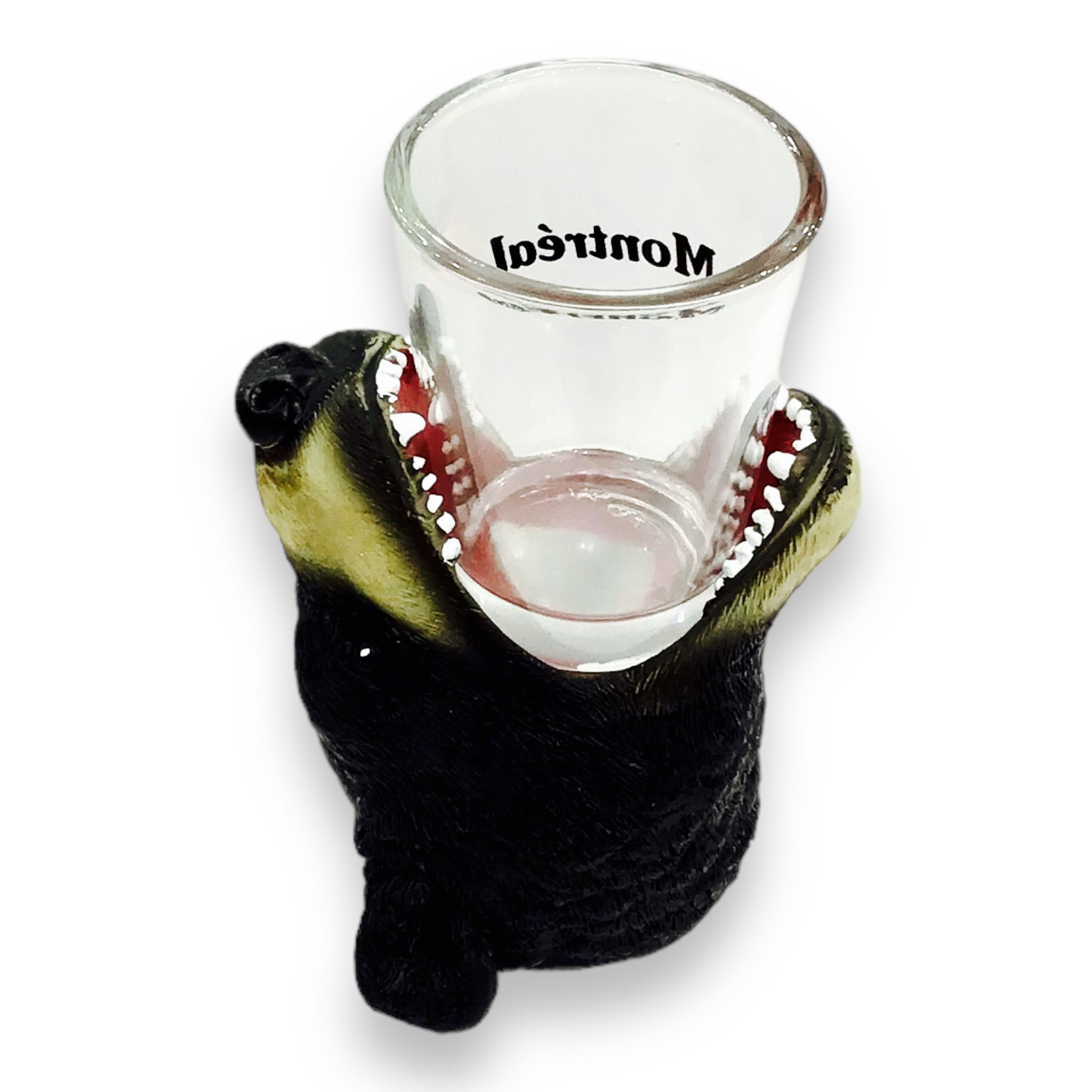 Puzzled Animal-Theme Poly Black Bear Cool Animal Head Shot Glass w/ Montreal Name Drop